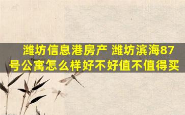 潍坊信息港房产 潍坊滨海87号公寓怎么样好不好值不值得买